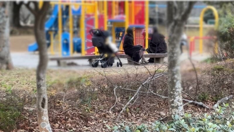 Vợ Influencer Tự Xưng Bị Dắt Ra Xe Sau Khi Chơi Với Bạn Ở Công Viên